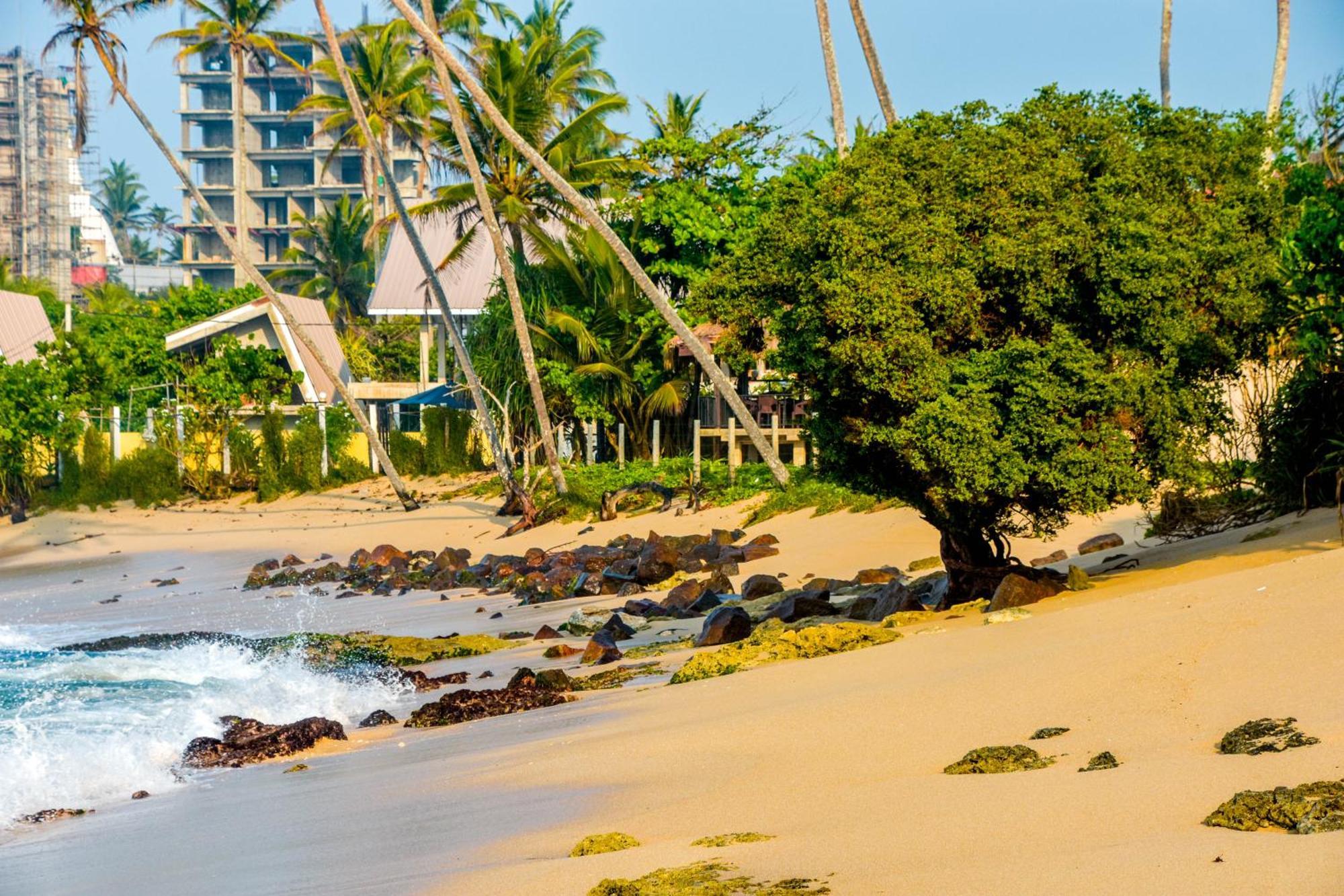 Ara Beach Resort Mirissa Esterno foto